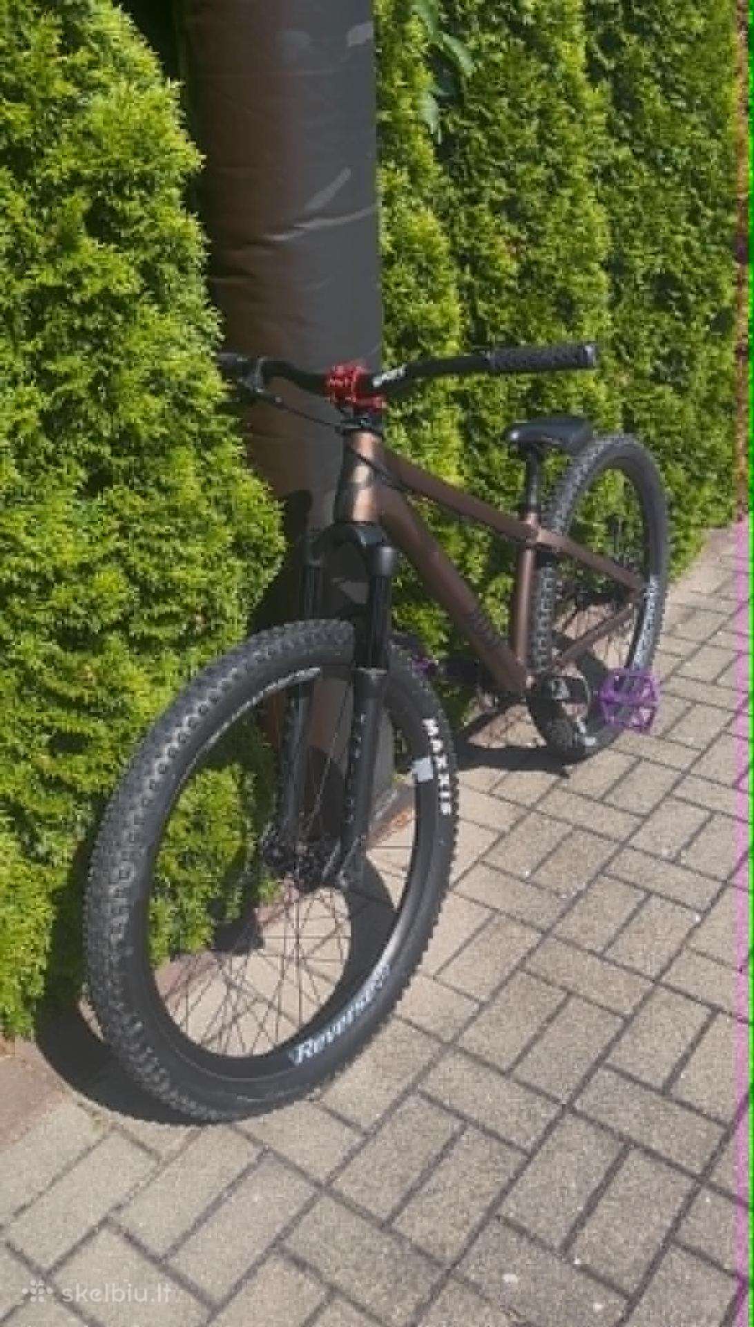 Mountain bike Rose 26″