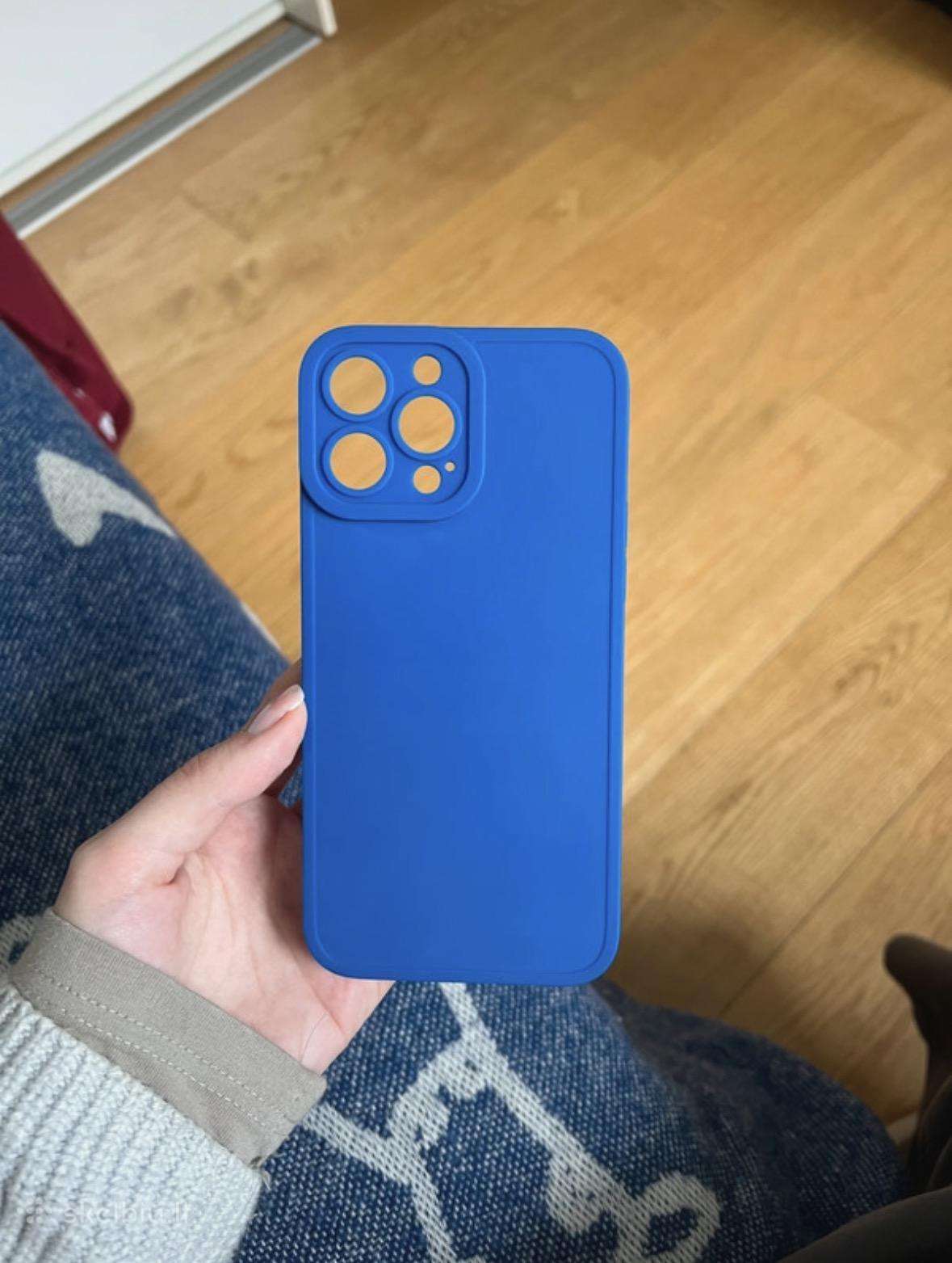 iPhone 13 Pro Max dėkliukas