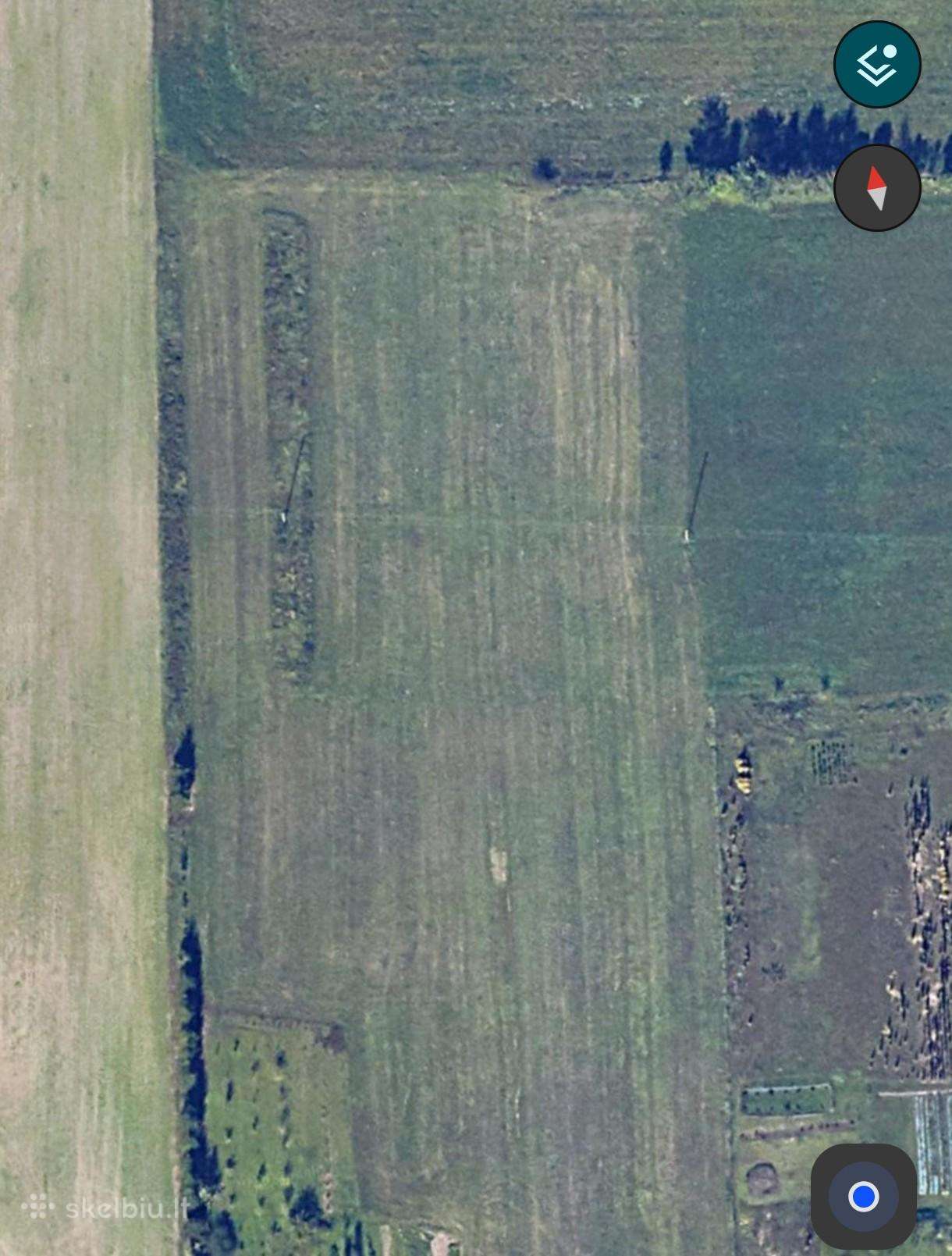 Žolė nusipjovimui.