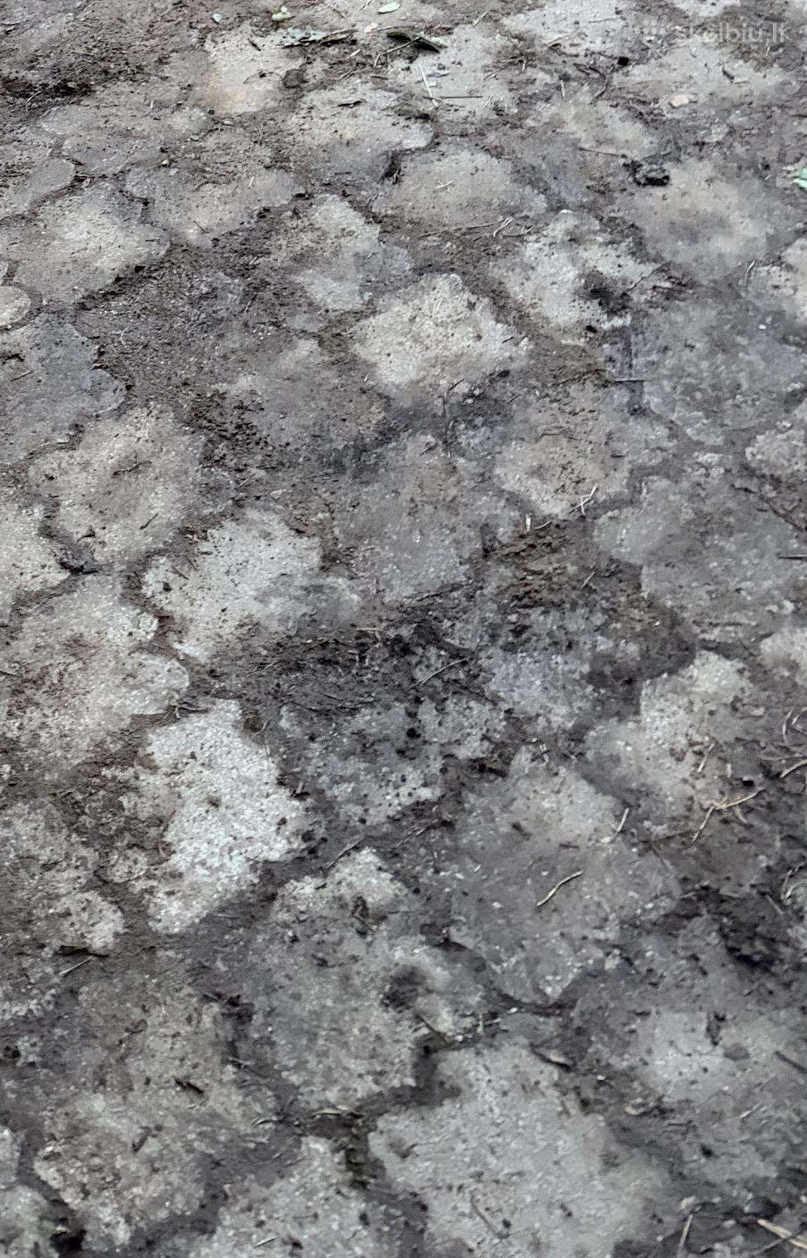 Ieškau naudotų betoninių trinkelių