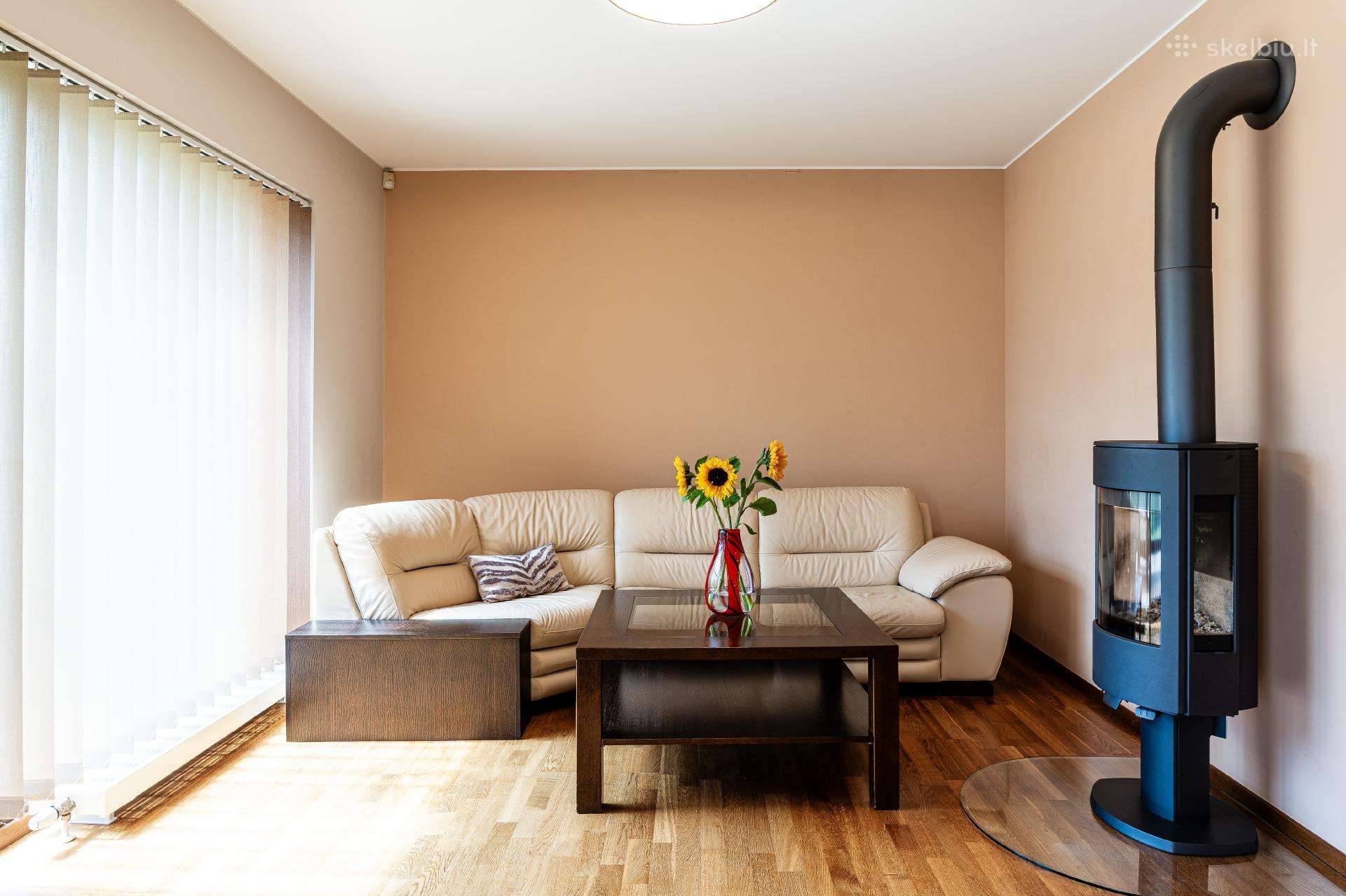 Kampinė odinė sofa