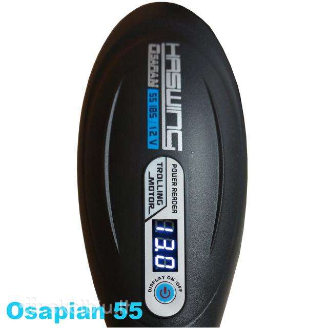 Haswing Protruar 1.0 LED, electric