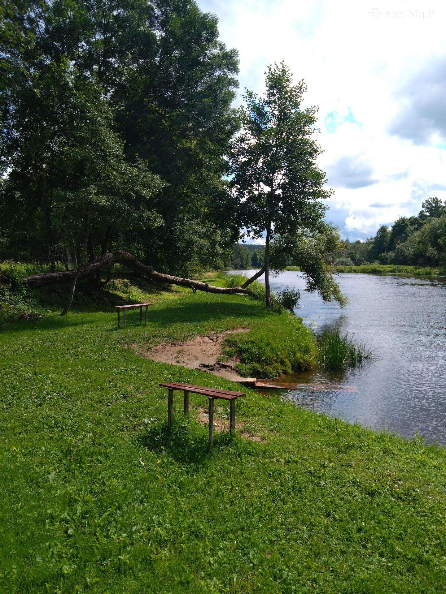 Sklypas prie Šventosios upės140 arų.