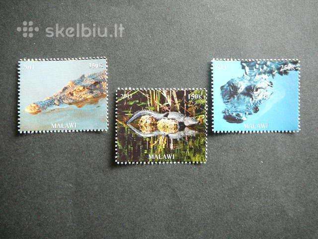 Krokodilai Malavis 2011 svarus kr1851