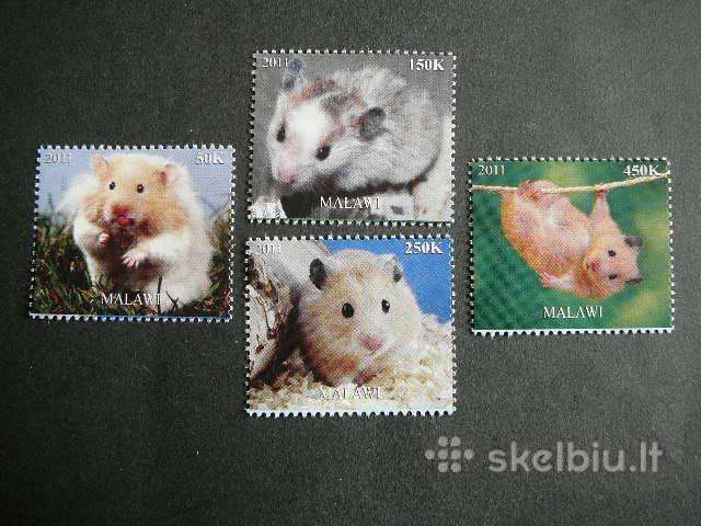 Peles Ziurkenai Malavis 2011 svarus vt1865