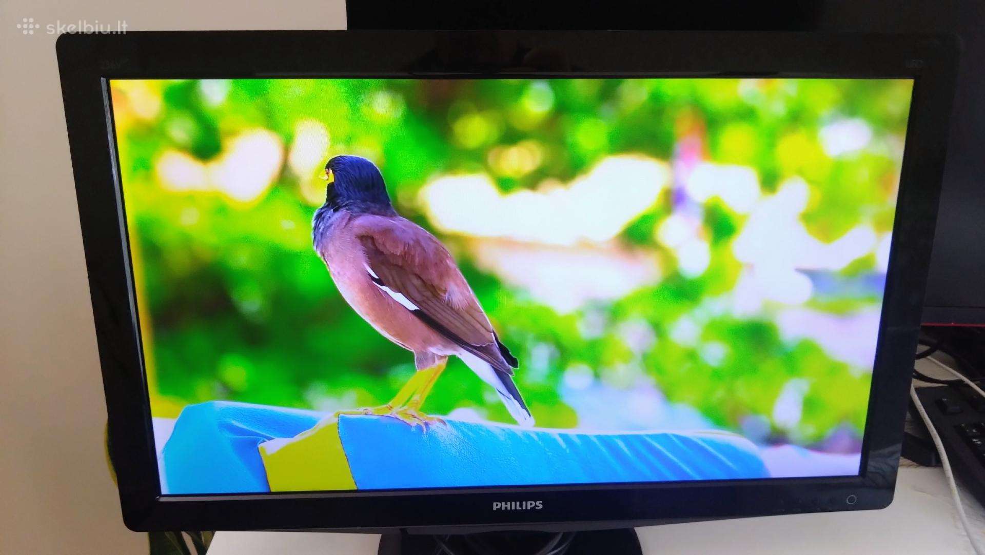 Monitorius Philips 23,6" full HD 5 ms