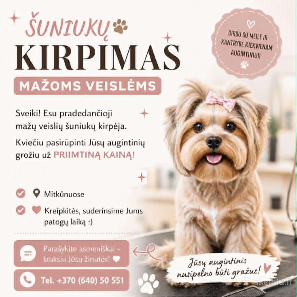 Mažų veislių šunų kirpimas