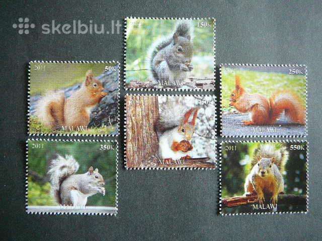 Voveres Malavis 2011 svarus vt1882