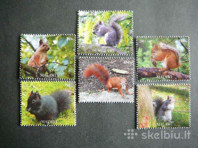 Voveres Malavis 2011 svarus vt1883