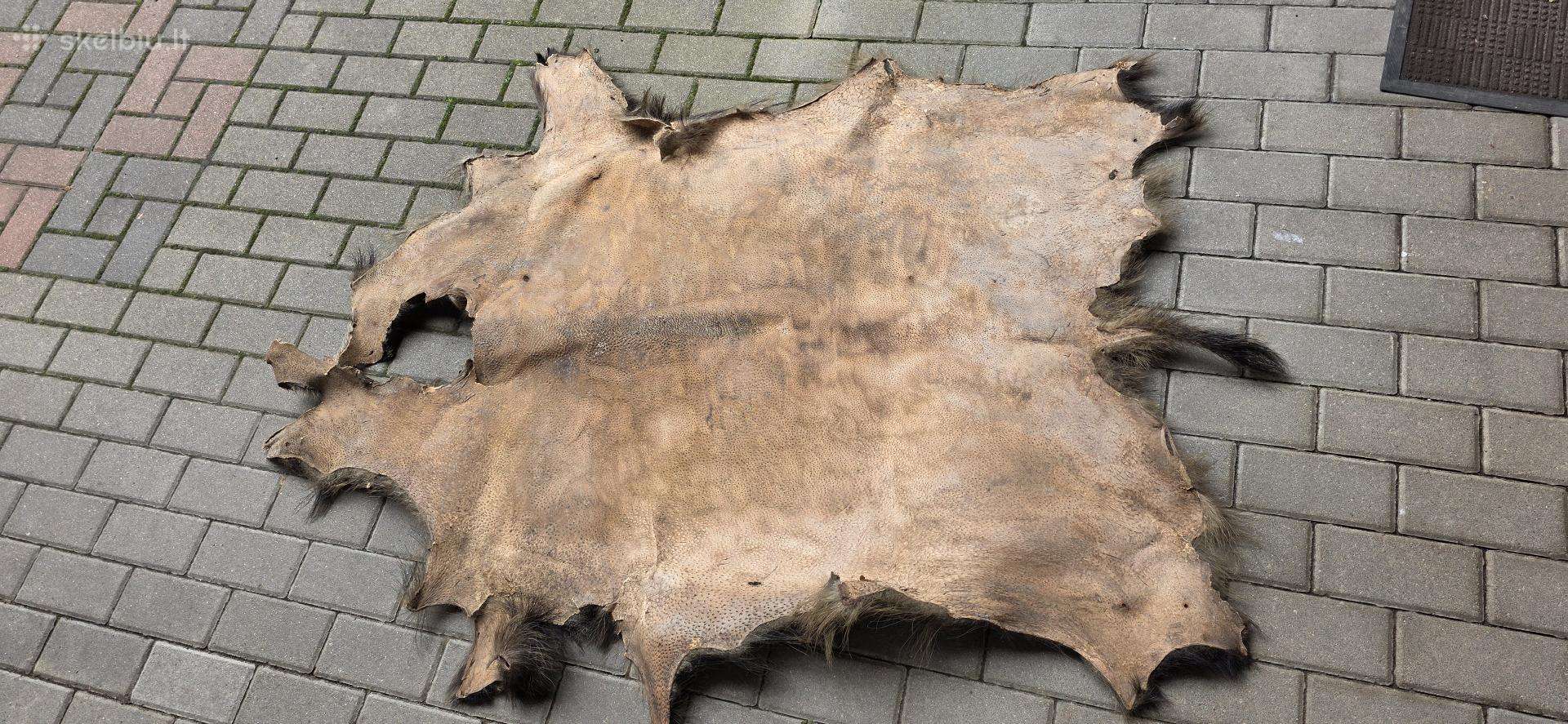 Parduodu šerno kailį
