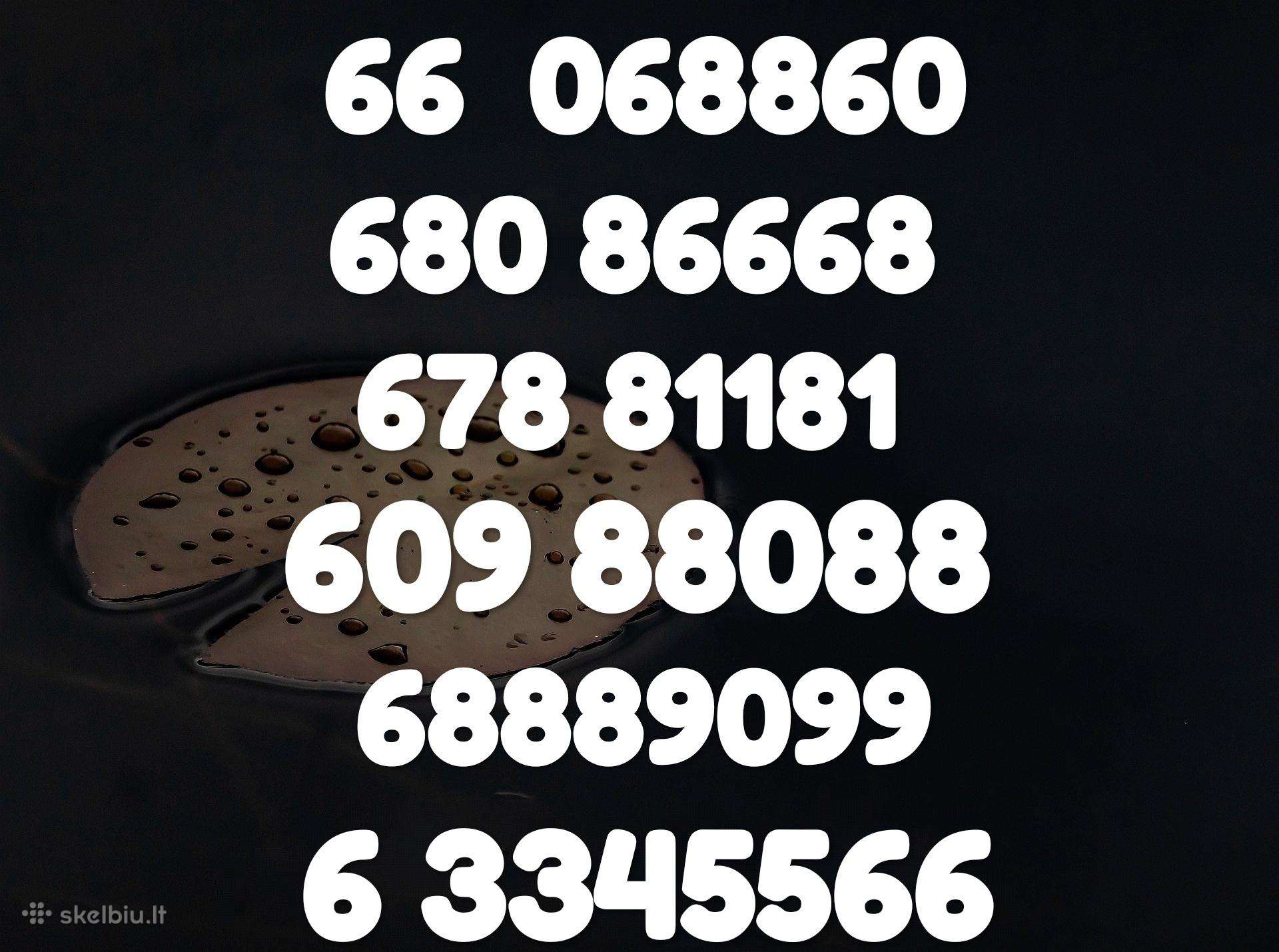Gražus VIP numeris 688886 už 50€