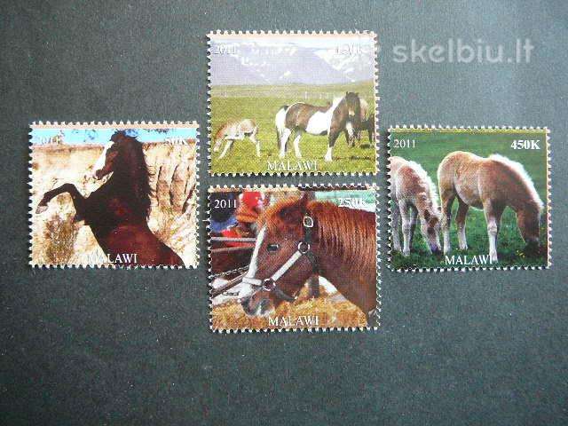 Arkliai Malavis 2011 svarus ak1577