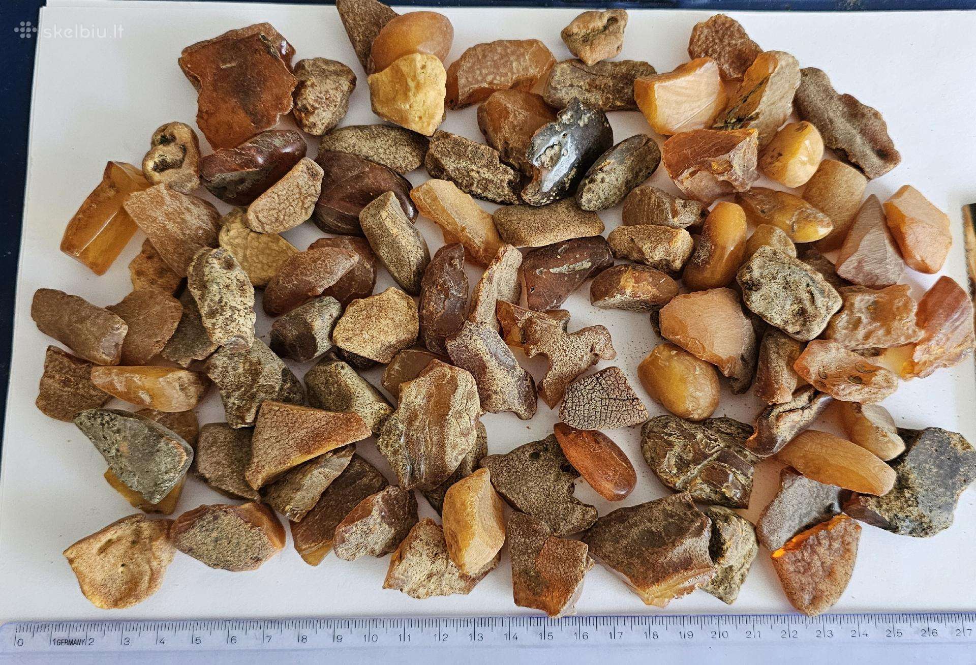 Gintaras iki 7gr