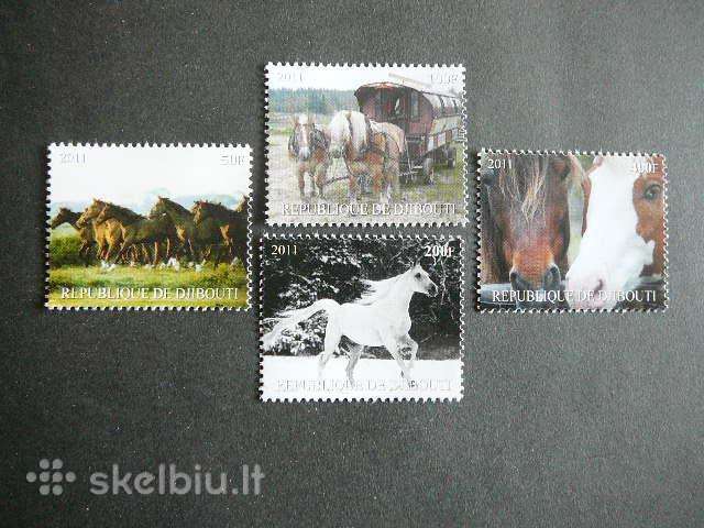 Arkliai Dzibutis 2011 svarus d1550
