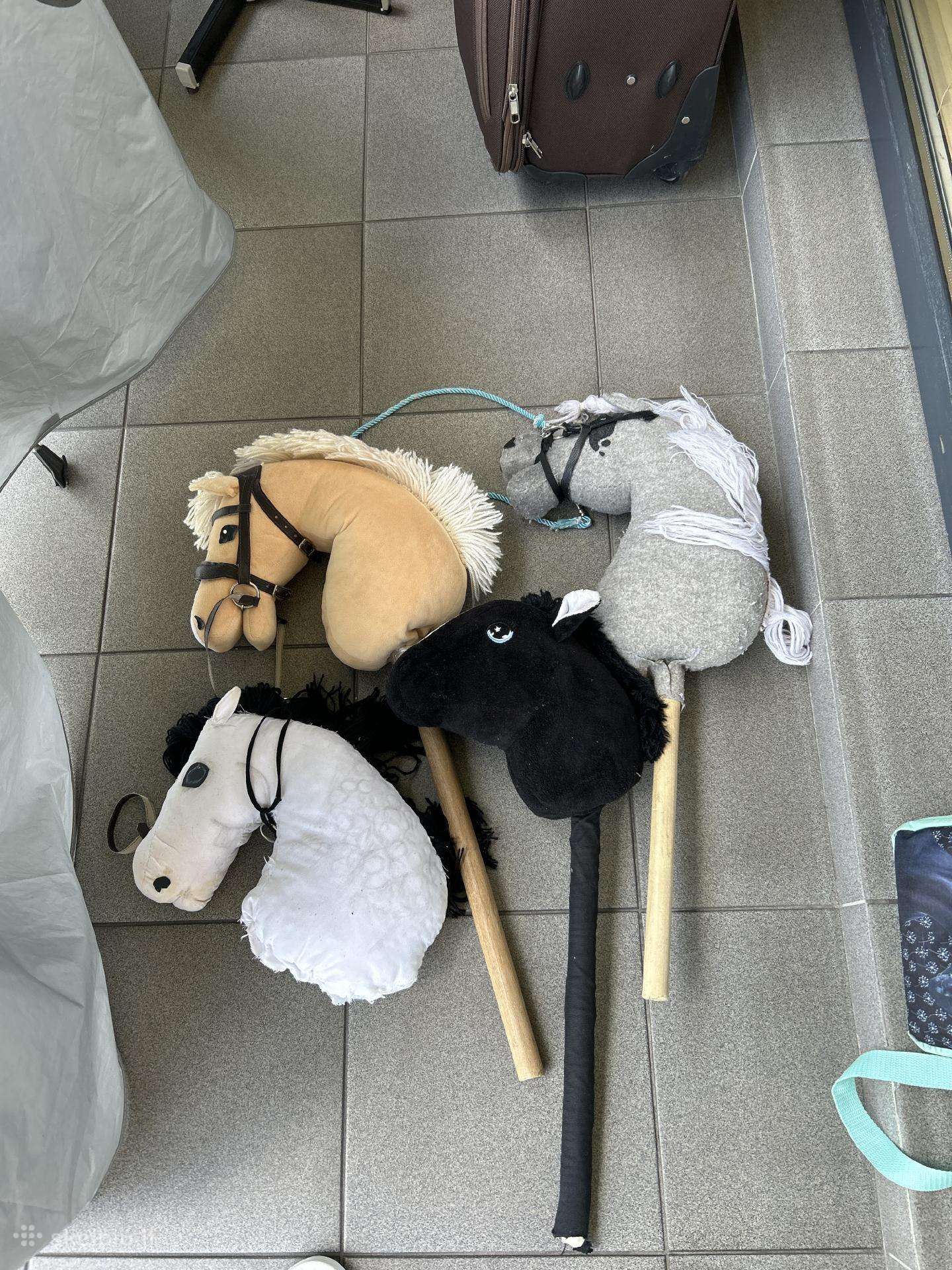 Hobby horsing žirgai