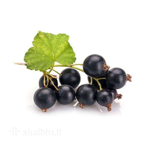Juodųjų serbentų uogos