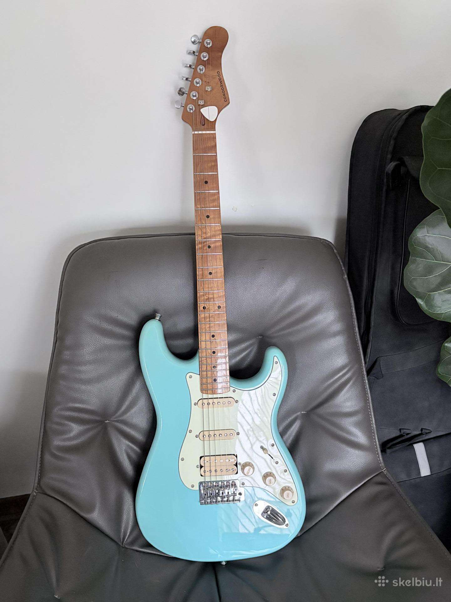 Elektrinė gitara Condorwood