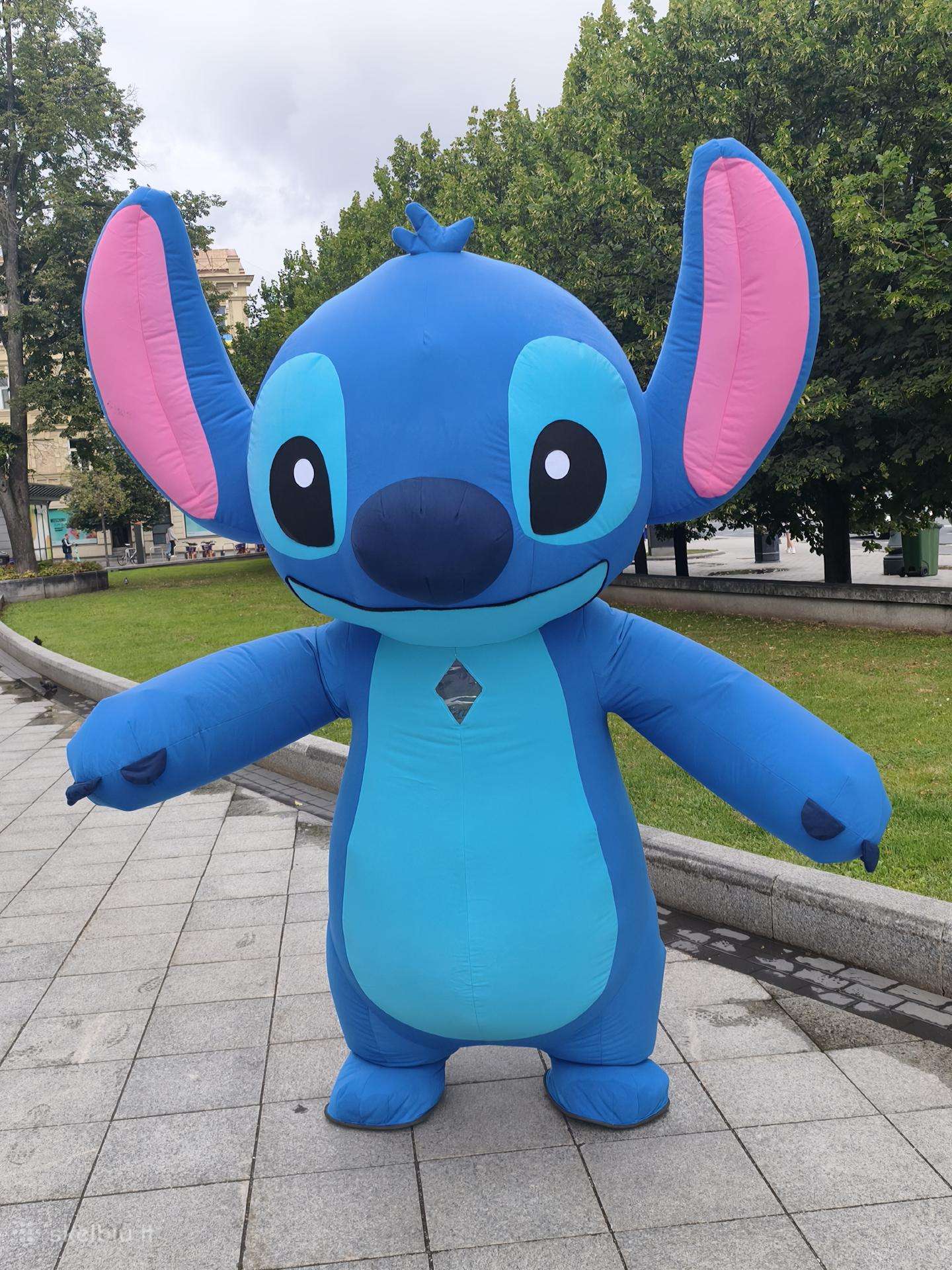Stich pasirodimas