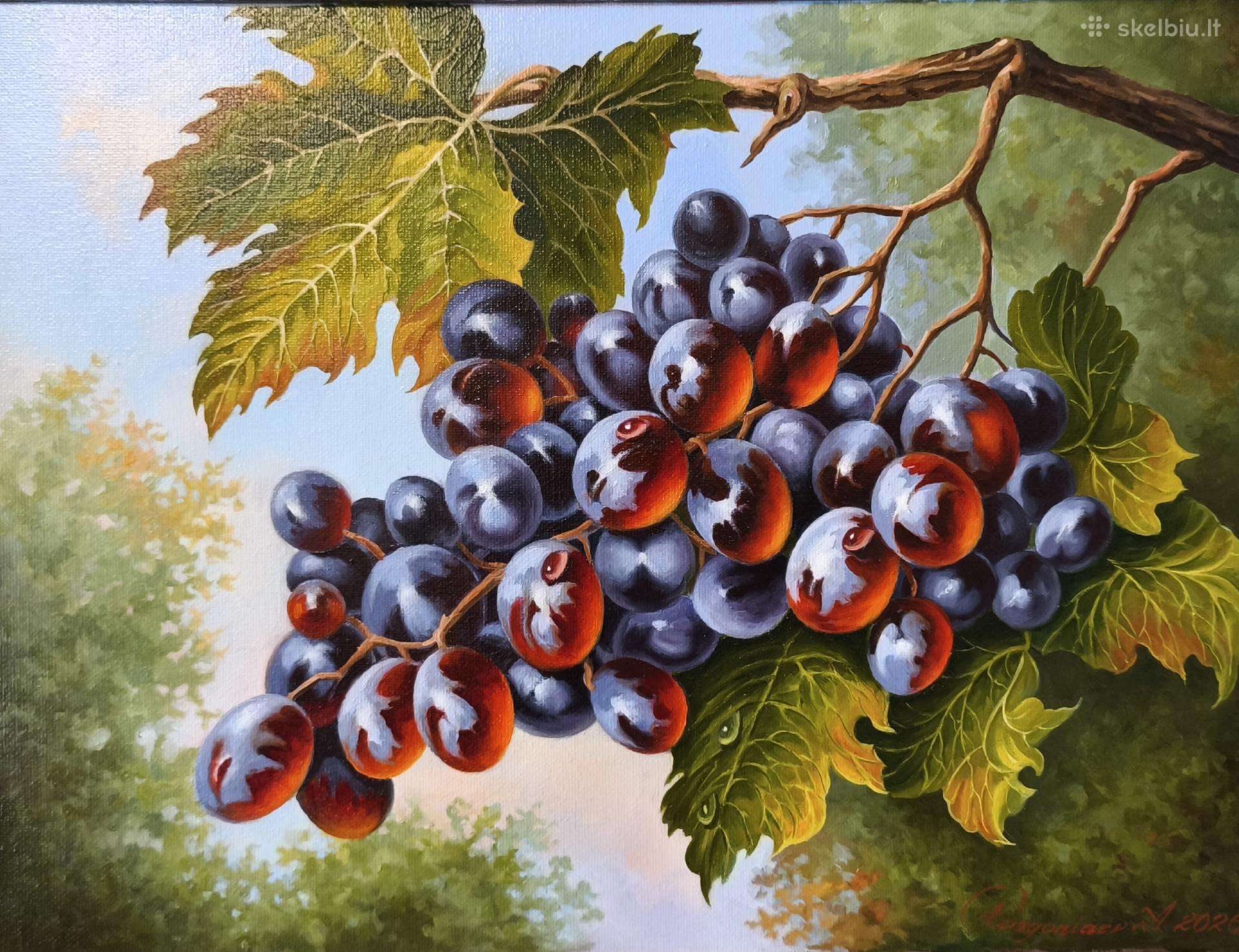 Aliejus, drobė 30 x 40 cm 180 euro