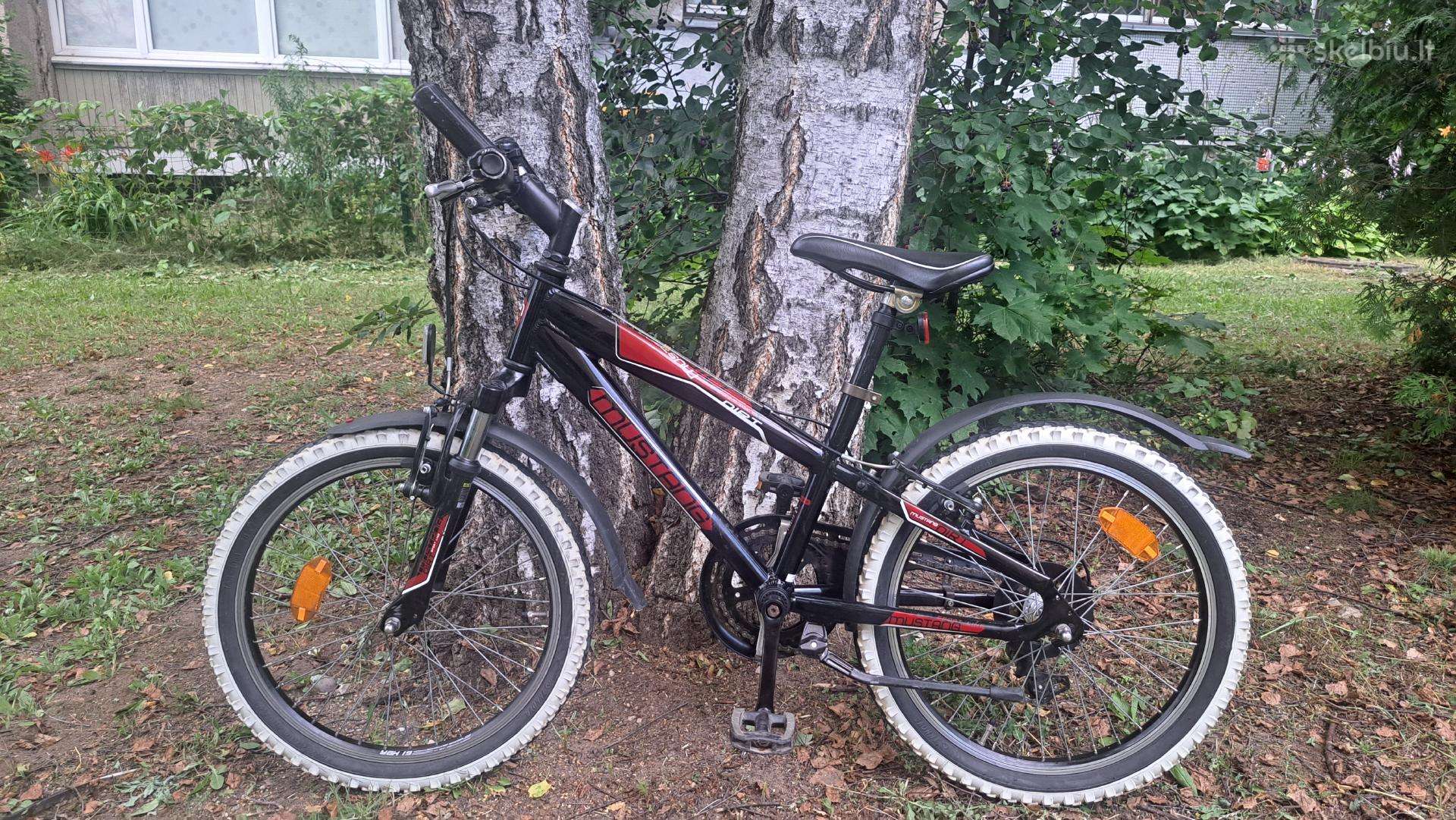Vaikiškas dviratis Mustang (20 colių ratai)