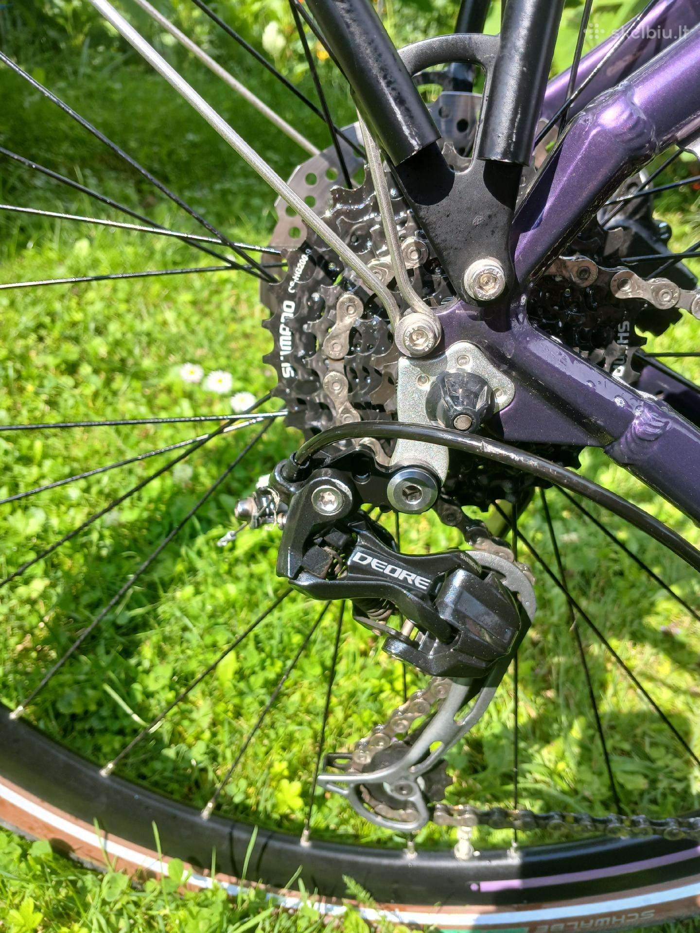 City bike Bergamont