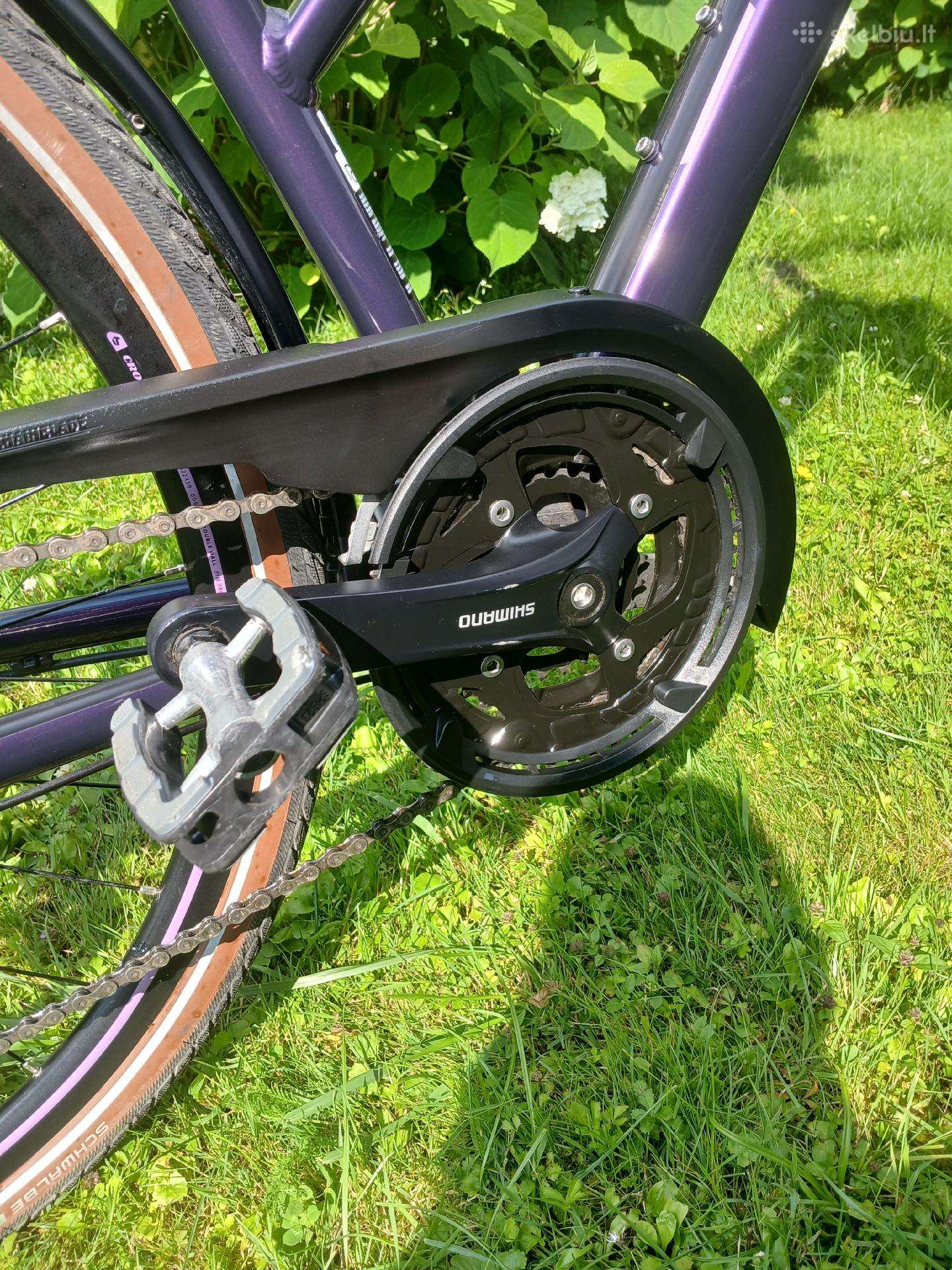 City bike Bergamont