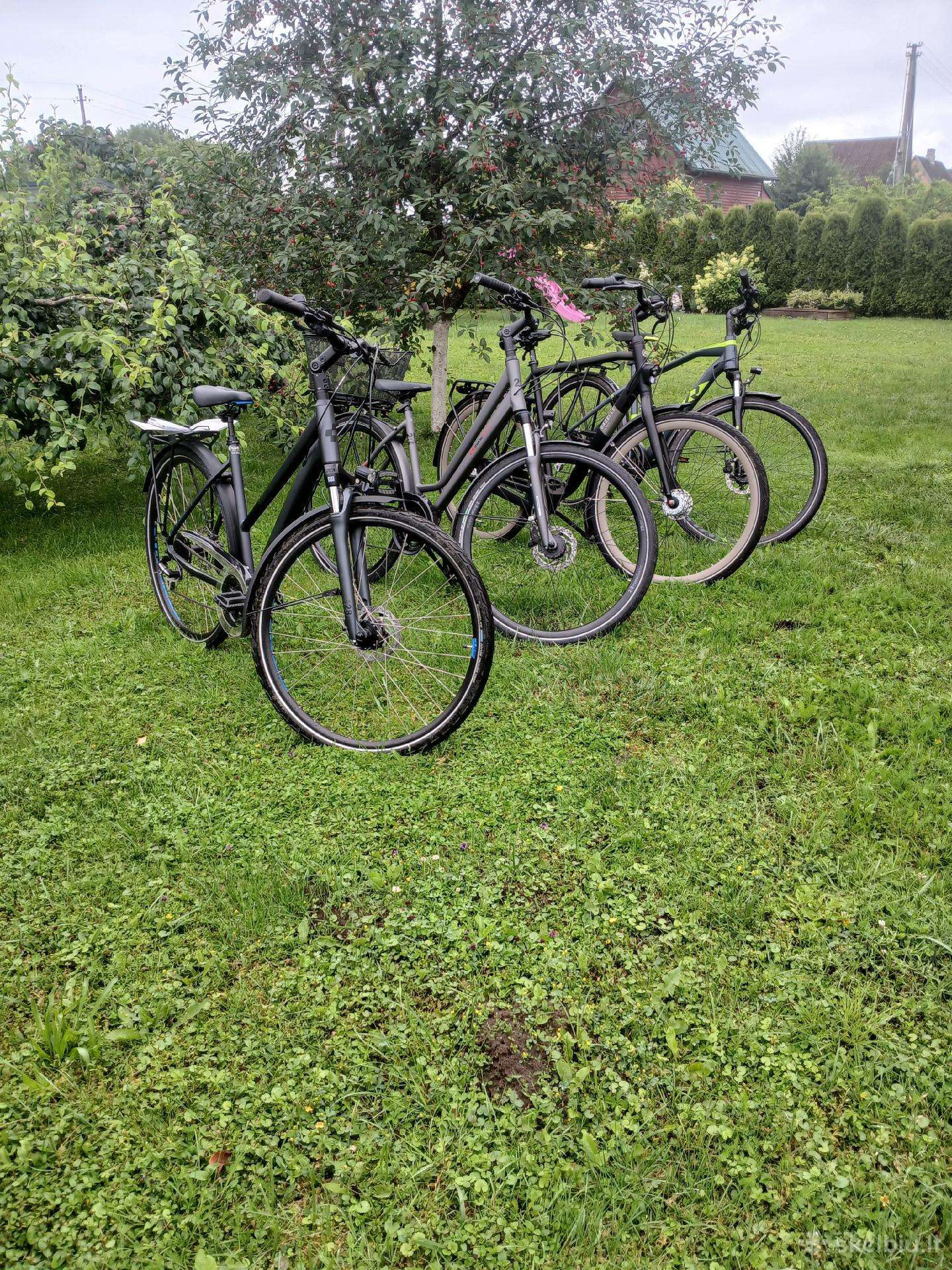 City bike Bergamont