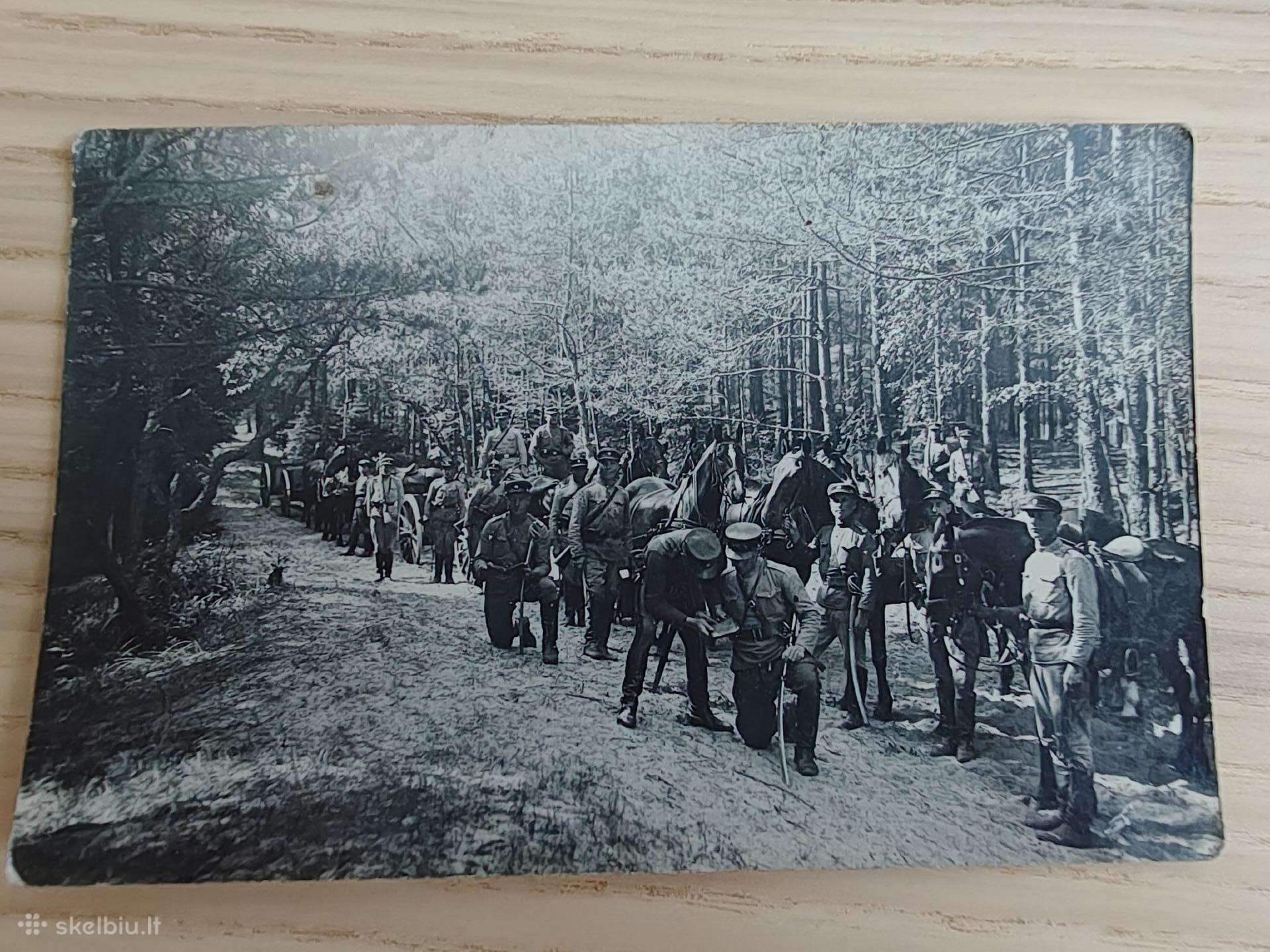 Lietuvos kariuomenė. Žygis. Manevrai. Gurguolė.