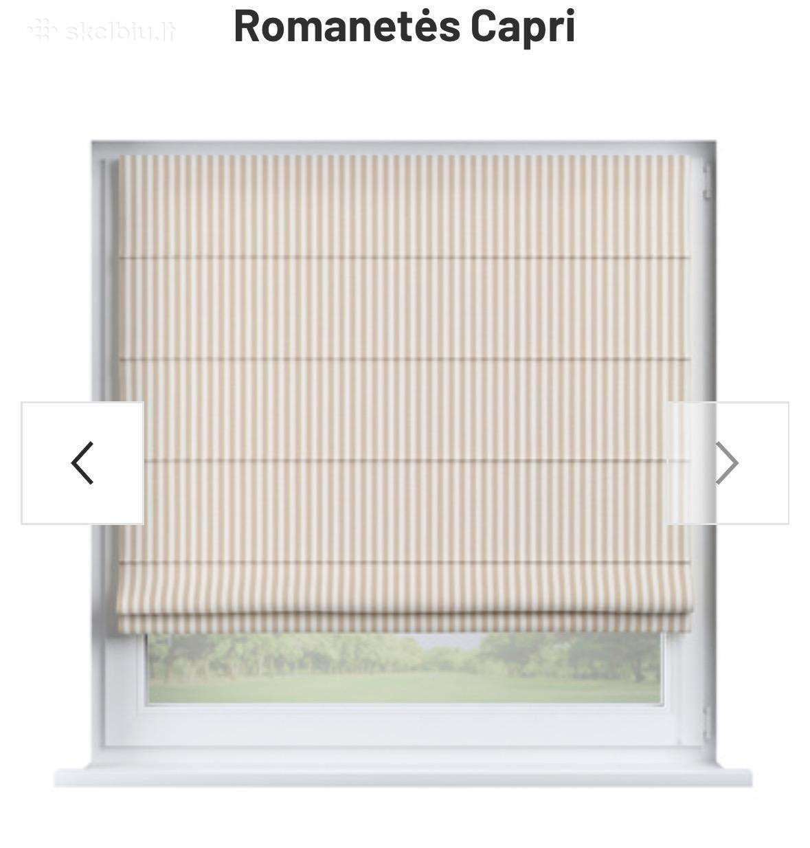 Dvi romanetės langui