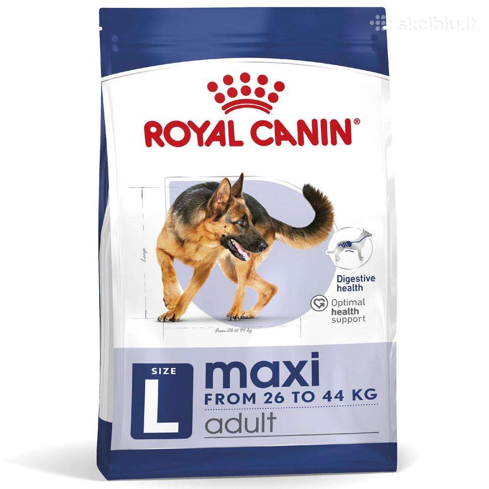 Royal Canin Maxi Adult L 15kg šunų pašaras