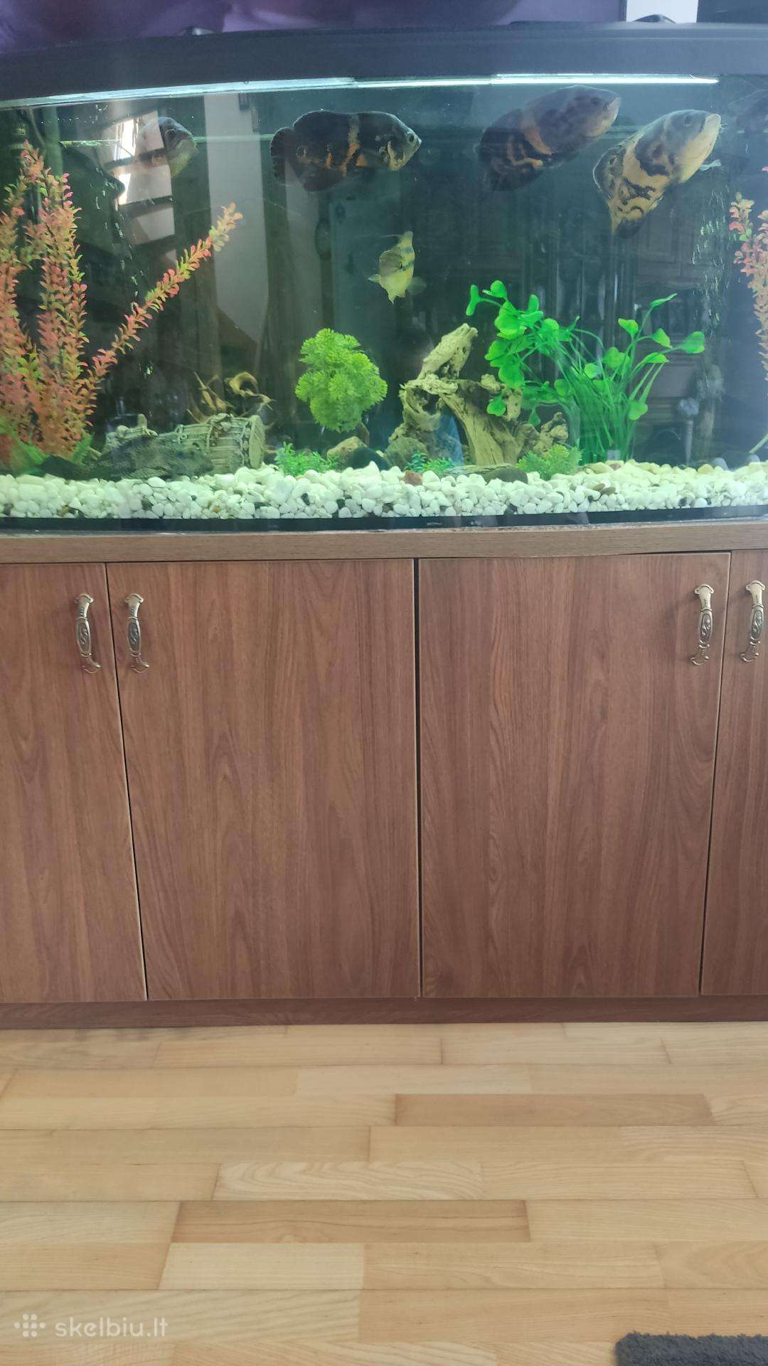 Akvariumas