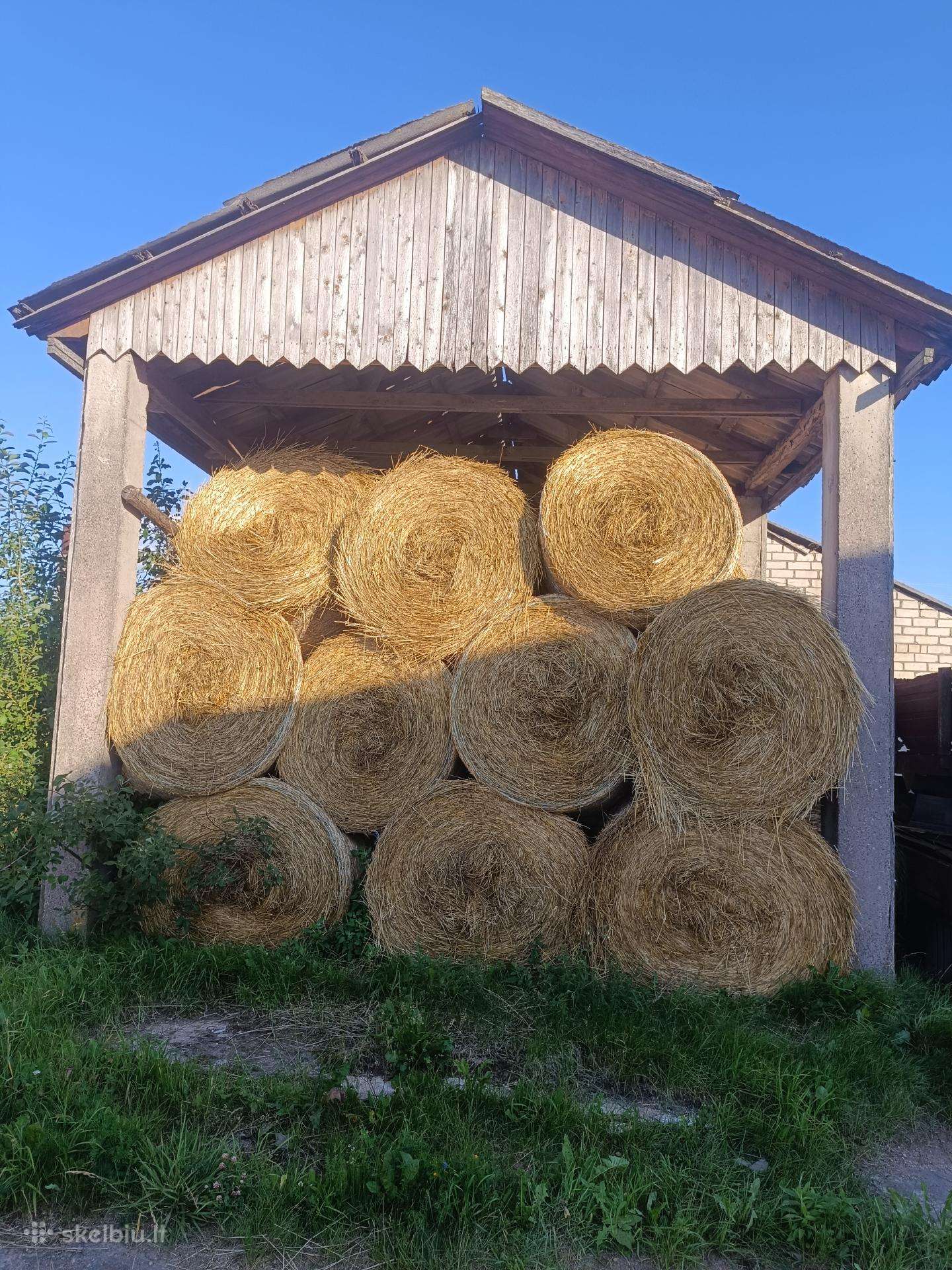 Šienas , šiu metų