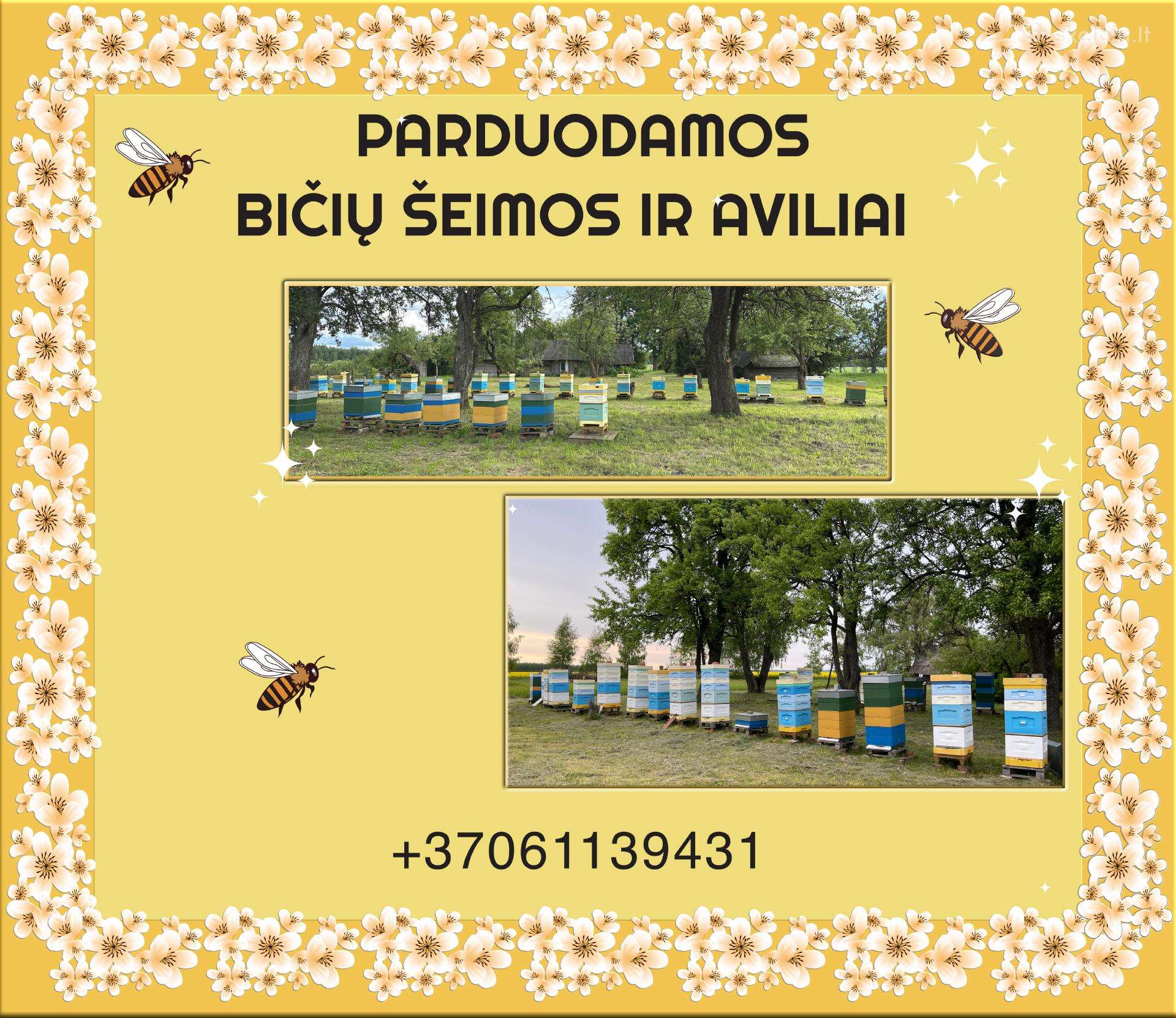 Parduodamos bičių šeimos ir aviliai
