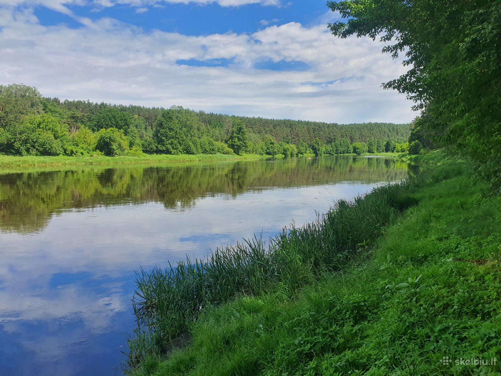 Išnuomojama stovyklavietė šalia Grabiolų kaimo.