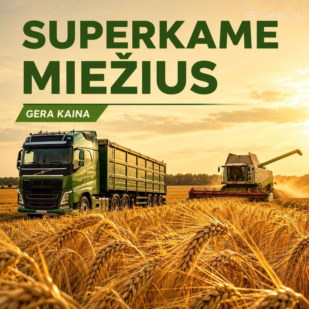 Brangiai Superkame Miežius