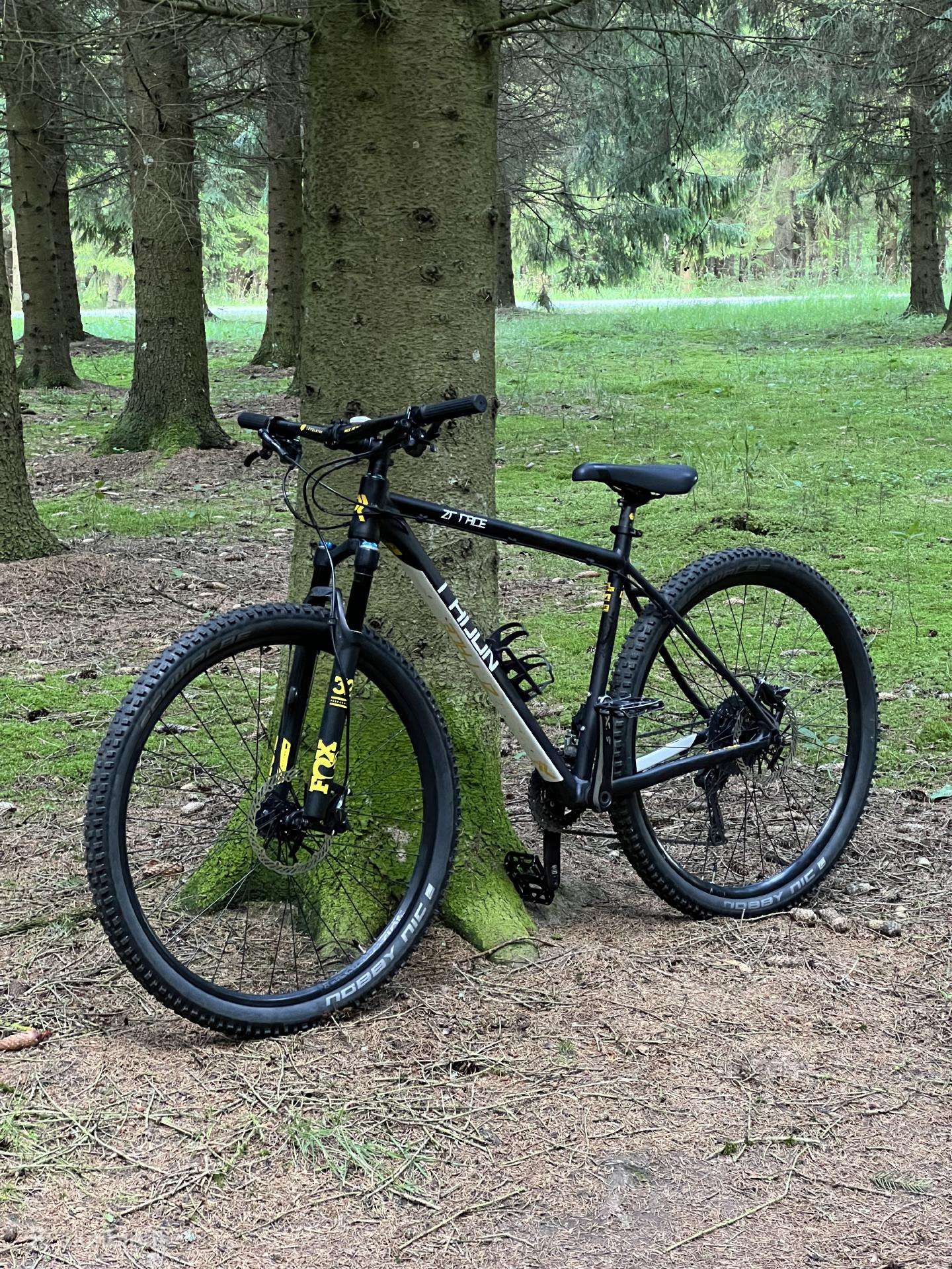 Radon Zr Race 6.0 2017 29er L(20)