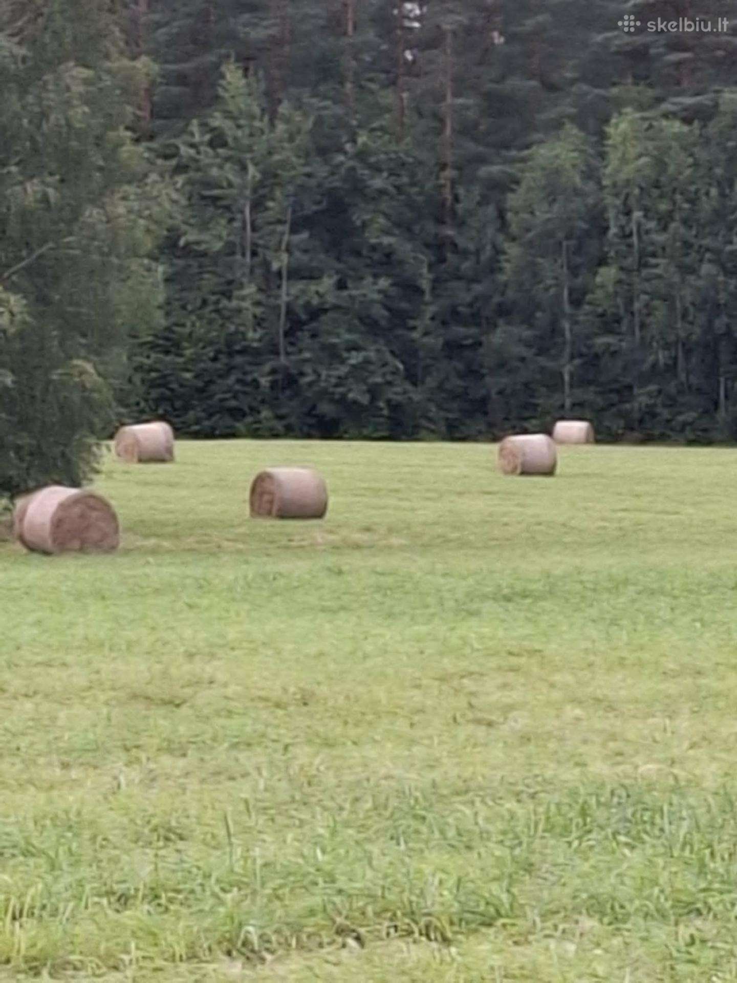 Parduodu šieną