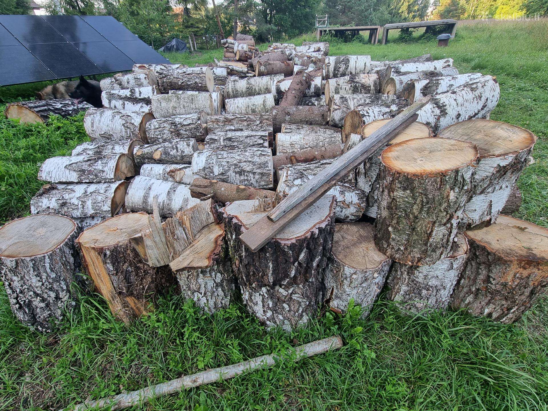 Malkos beržinės ir eglinės.