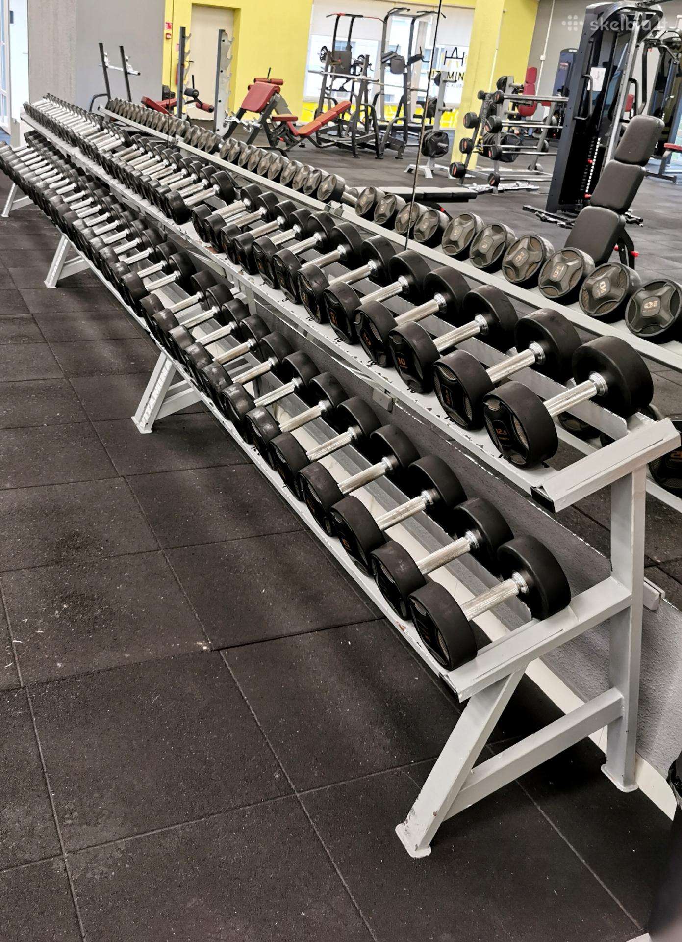 Profesionalus hantelių rinkinys 1–45 kg su stovu
