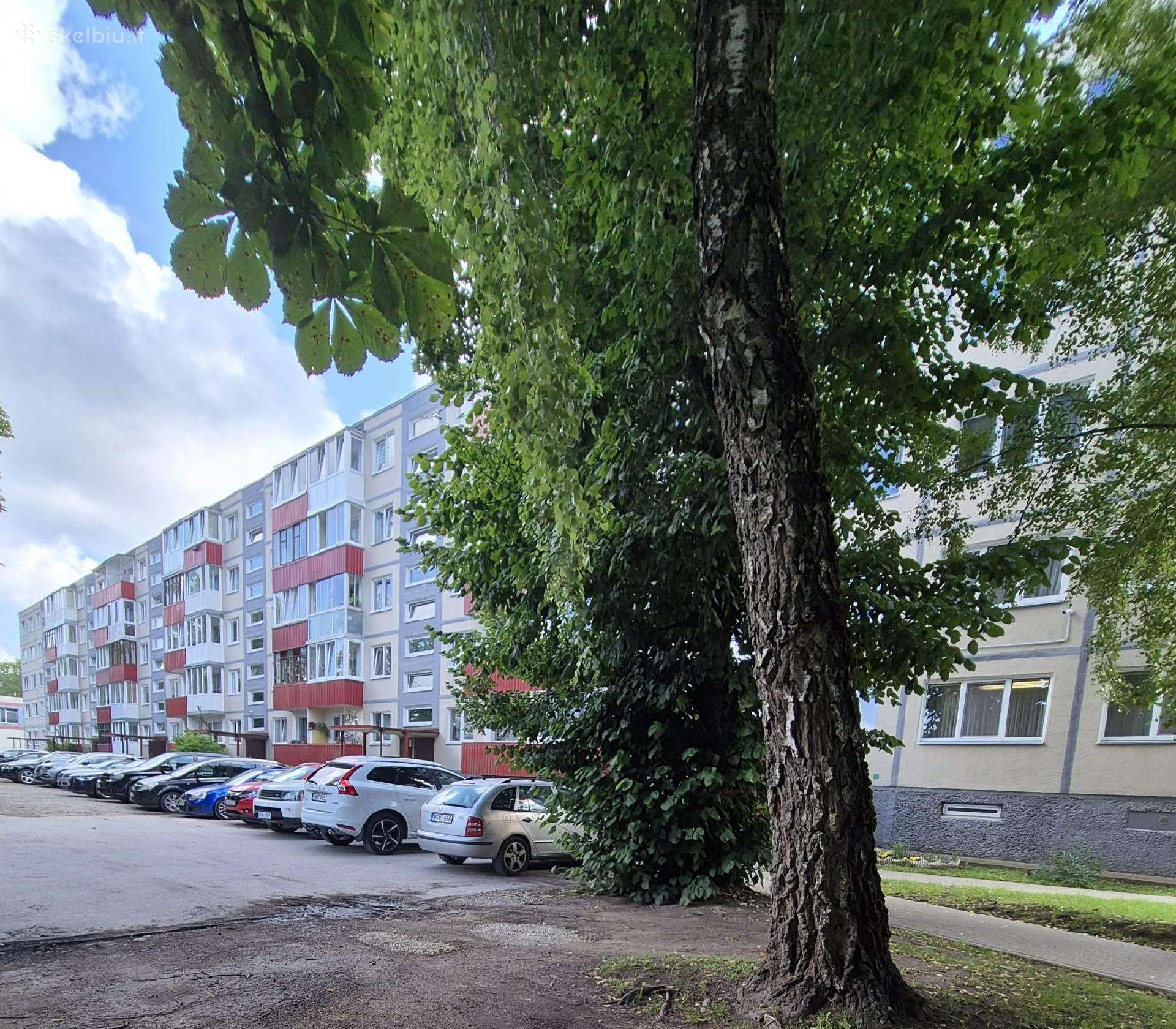 Dvieju kambariu butas