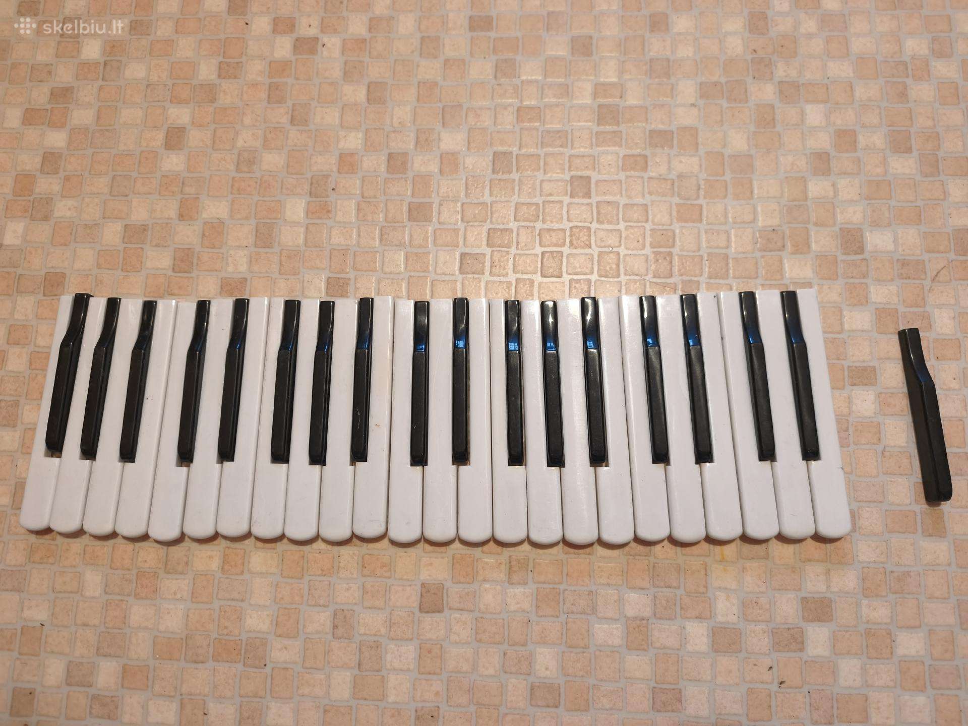 Pianino klaviatūros segmentas (klavišai)