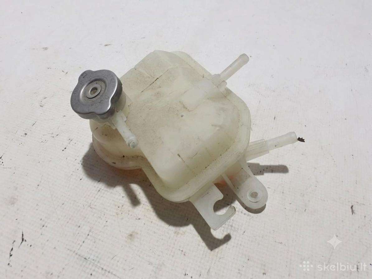 Dacia spring išsiplėtimo bakeliai
