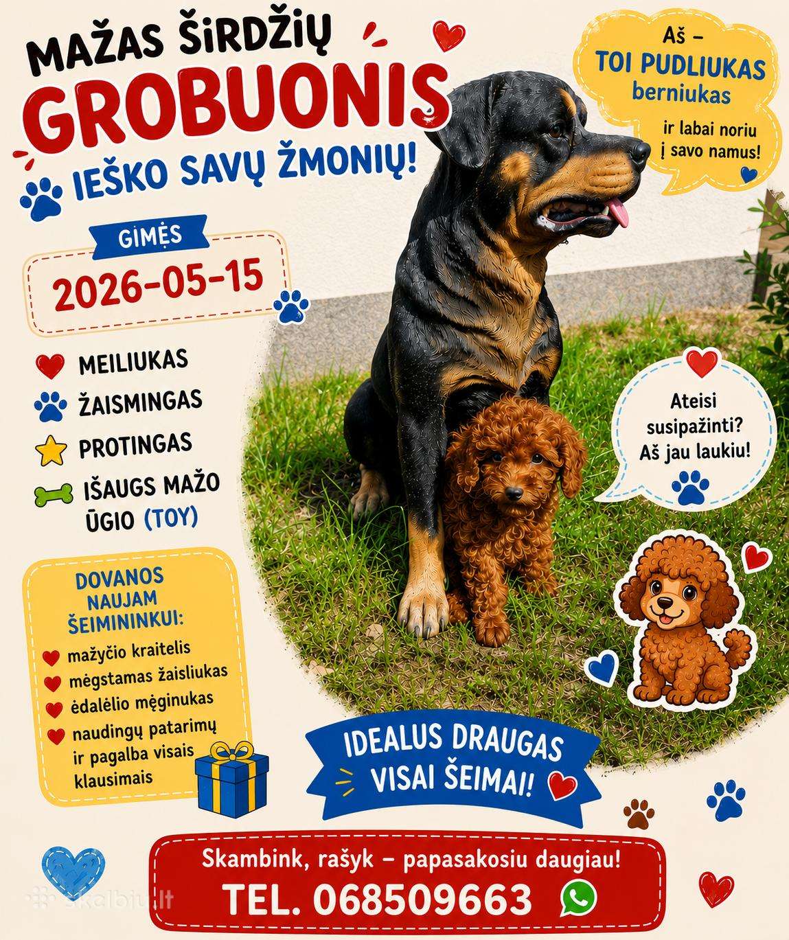 Parduodamas berniukas - pudeliukas