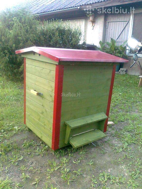 Bičių šeimos
