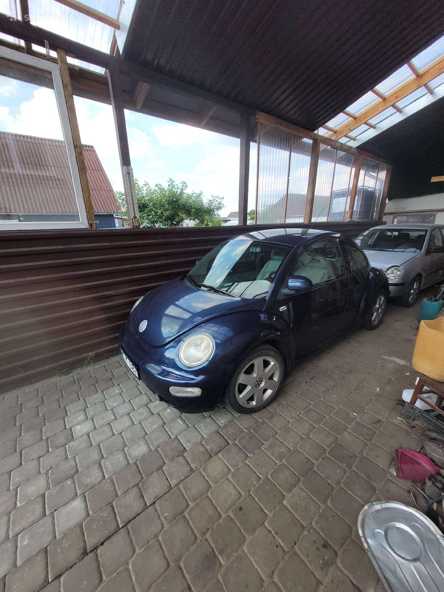 Beetle