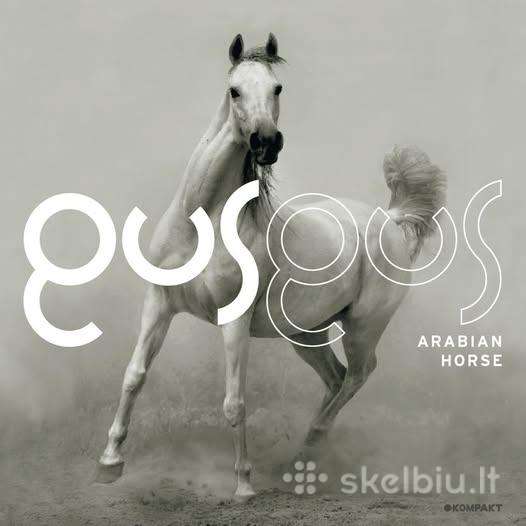 CD Gusgus Arabian horse albumas