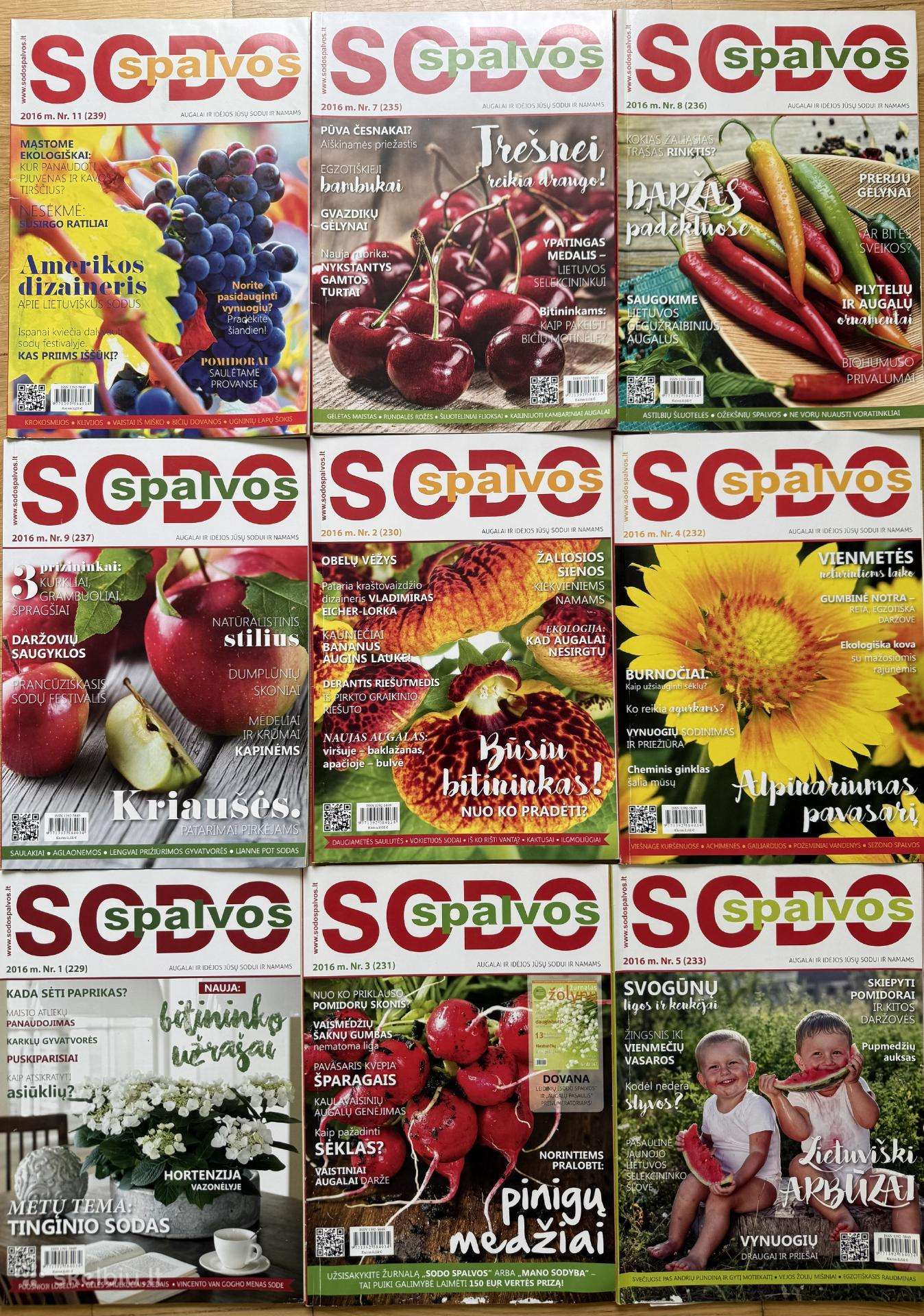 Sodo Spalvos žurnalai (11 vnt. komplektas)