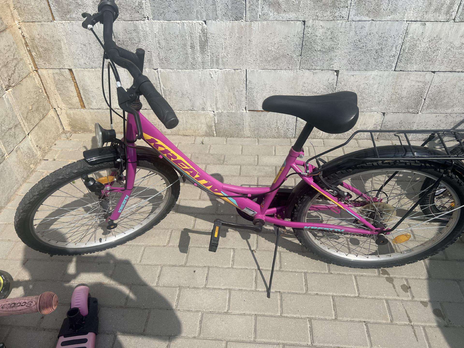 Dviratis paulgliams už 80 eur.