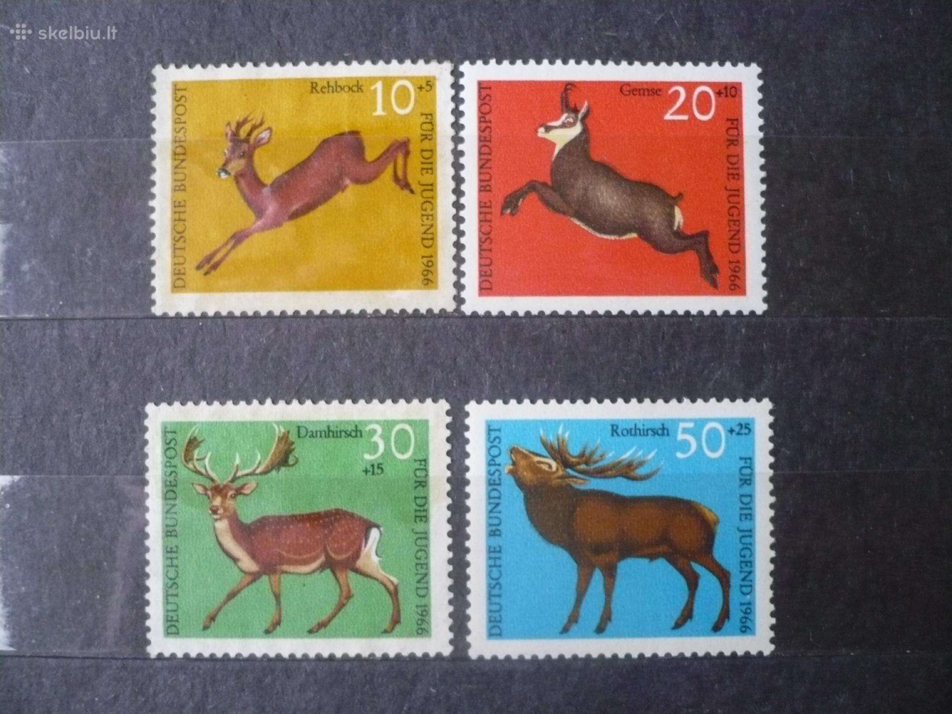 1966 m. jaunimo nakvynės namai – laukinė gamta
