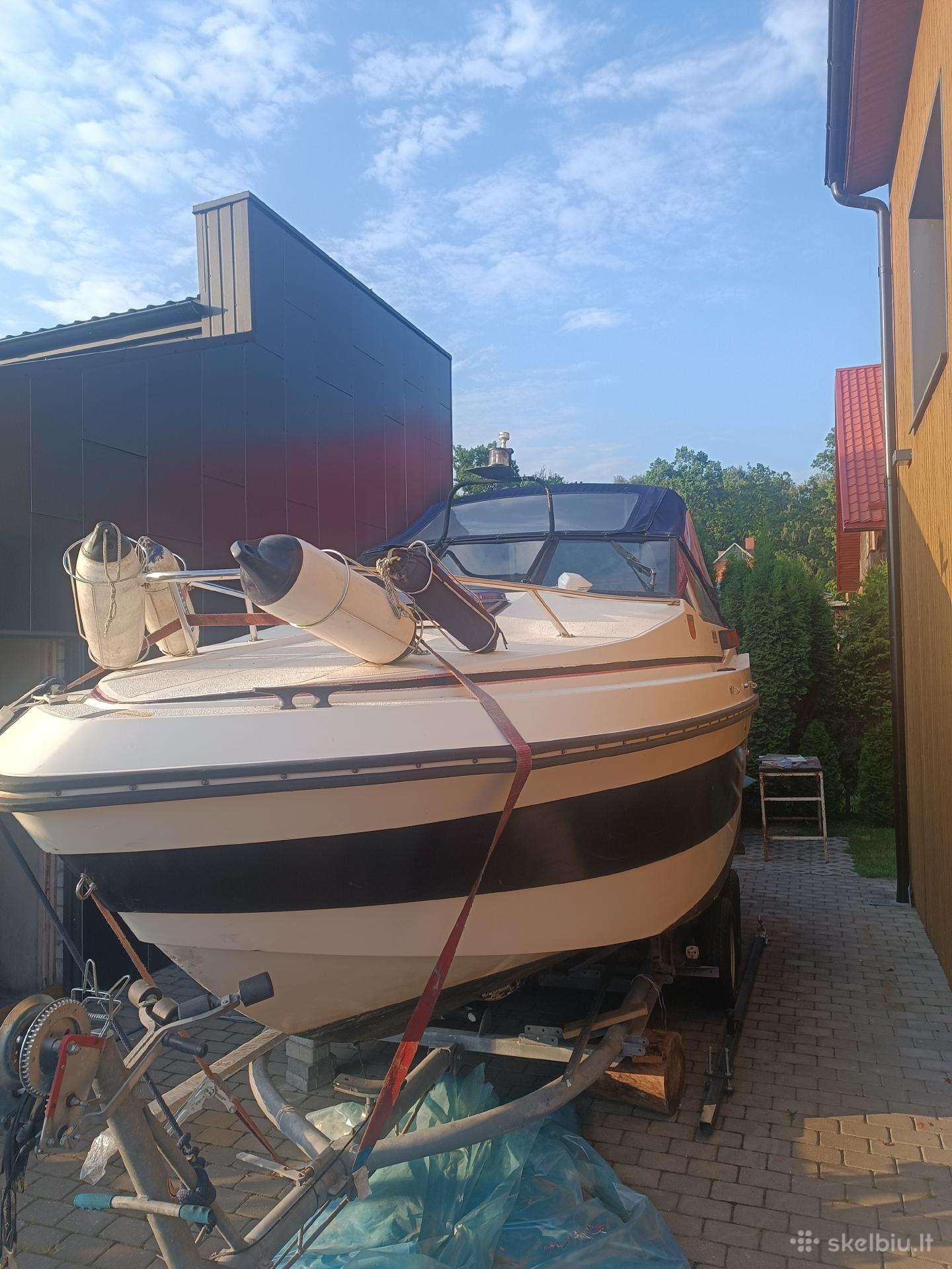 Kateris marex Dixie21